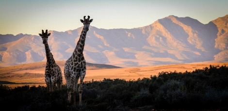Absa Cape Epic – stage 3
