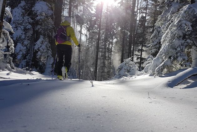 Planinsko, planinarsko i turno skijanje