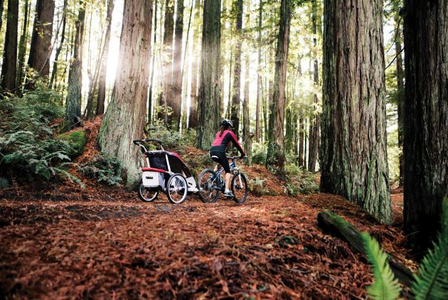 Thule kolica Chariot&Sleek