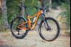 Giant Trance 1 29er 2019