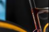 S-Works Tarmac SL8 Frameset Ekipa