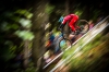 Specialized Gravity uzbuđenja za 2017. godinu